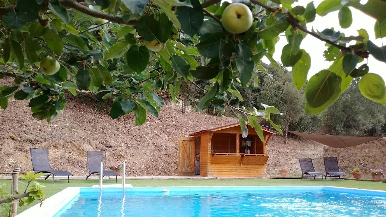 Hébergement de vacances Masia Can Orta Sant Feliu de Buixalleu Espagne