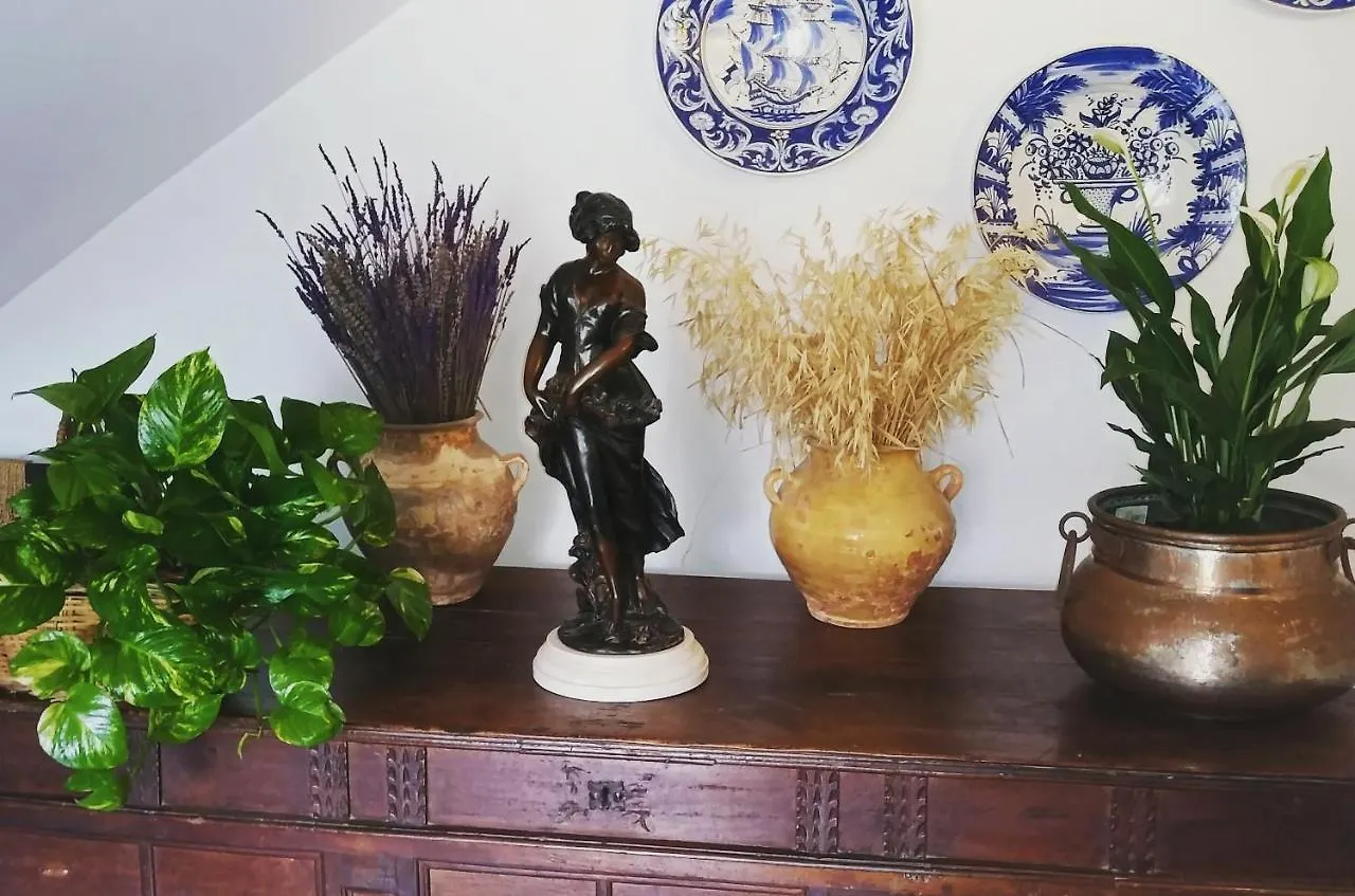 Holiday home Masia Can Orta Sant Feliu de Buixalleu